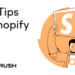 Shopify SEO: 12-Step Guide for Beginners